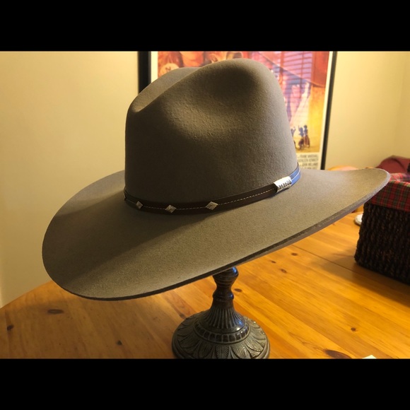 Silver Mine Buffalo Cowboy Hat 
